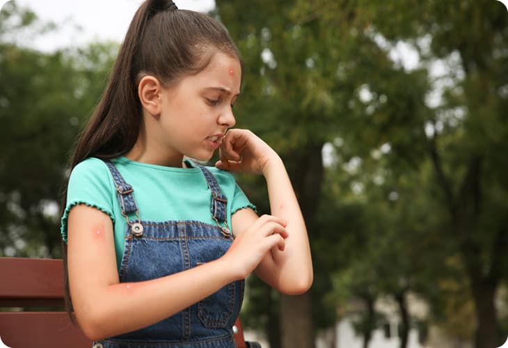 Insect & Animal Bites: Signs of Infection