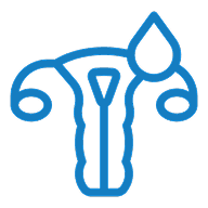 Abnormal vaginal bleeding