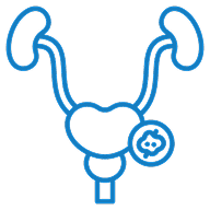 Urinary symptoms and bladder concerns