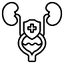 Urinary Care